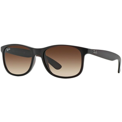 Ray-Ban Andy RB4202 607313 ONE SIZE (55) Rjava/Rjava