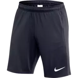Nike Kratke hlače Dri-FIT Academy Pro 24