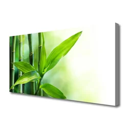 tulup.si Slika na platnu Bamboo leaf narava rastlin 100x50 cm