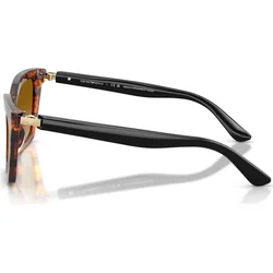 Sončna očala Emporio Armani EA4250U 6268/2L