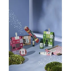 Bloom & Glow British Rose Mini Gift XM