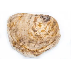 Pladenj Fossil Wood rjavi
