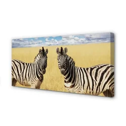 tulup.si Slika na platnu Zebra polje 125x50 cm
