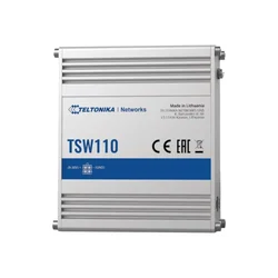 TSW110