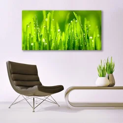 tulup.si Slika na steklu Green grass dew drops 140x70 cm 2 obešalnika