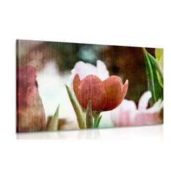 Slika travnik tulipanov v retro stilu - 150x100