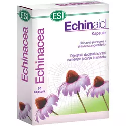 Echinaid kapsule 30 komada, Esi Italija