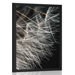 Plakat lepota regratove lučke - 20x30 no frame