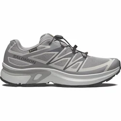 Salomon XT-EVR GTX, muške patike za slobodno vrijeme, siva L49143800