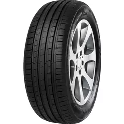 Minerva F209 ( 205/50 R16 91W XL )
