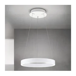 Orion - LED prigušiva luster na sajli KOLK LED/40W/230V 2700/3000/4000K prečnik 40 cm bela