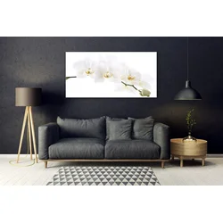 tulup.si Steklena slika Orhideje 140x70 cm 2 obešalnika