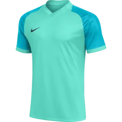 Nike Dres Dri-FIT Trophy VI