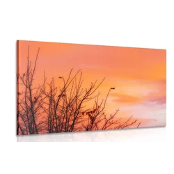 Slika barvno nebo - 30x20