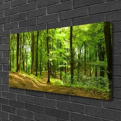 tulup.si Slika na platnu Forest narava pot 100x50 cm