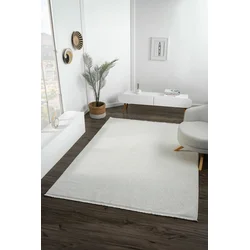 Conceptum Hypnose Tepih 0A21E, Pravougaoni, 100x150 cm, Bež
