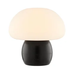 Brilliant - LED prigušiva punjiva stolna lampa DUPIS LED/2W/5V 2700K crna