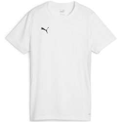 Dres Puma teamGOAL Jersey W