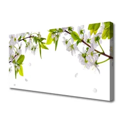 tulup.si Slika na platnu Kosmiči narava 120x60 cm