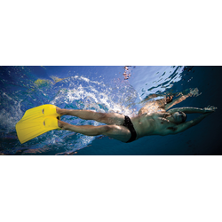 Finis foil monofin s