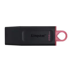 USB Flash memorija Kingston Data Traveler Exodia 256GB 3.2 DTX crno roze