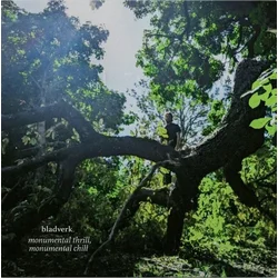 Bladverk - Monumental Thrill, Monumental Chill (LP)