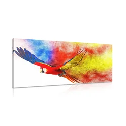 Slika let papagaja - 120x60