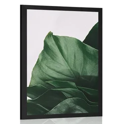 Plakat očarljiv list monstere - 30x45 no frame