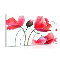 Slika edinstveni mak - 90x60