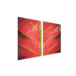 shumee Steklena zaščitna plošča za štedilnik 2x45x52 Leaf