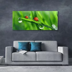 tulup.si Slika na platnu Pikapolonica grass drops 120x60 cm