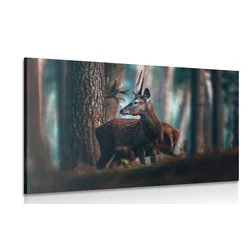 Slika jelen v borovem gozdu - 40x30