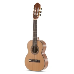Klasična kitara 1/4 Pro Arte Maestro CM-25 Gewa