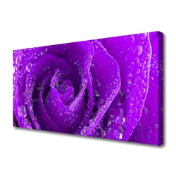 tulup.si Slika na platnu Rose flower rastlin 120x60 cm