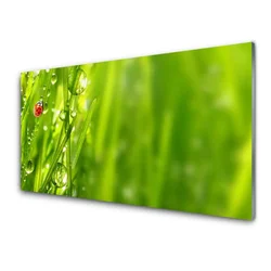 tulup.si Slika na steklu Grass pikapolonica narava 140x70 cm 4 obešalnika