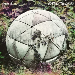 Steve Gunn - Eyes On The Lines (LP)