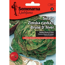 Semenarna Ljubljana salata Brune dHiver, mala vrećica