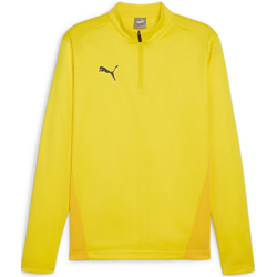Mikica Puma teamGOAL Training 1/4 Zip Sweatshirt