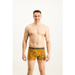 Mens boxers Frogies Zodiac Bik