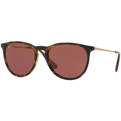 Ray-Ban Erika Naočare za sunce RB 4171 6391/75