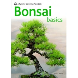 Bonsai Basics