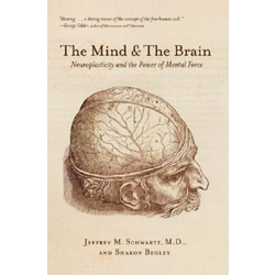 Mind and the Brain