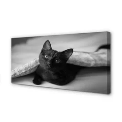 tulup.si Slika na platnu Cat pod odejo 100x50 cm