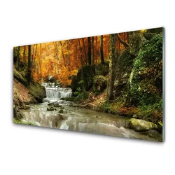 tulup.si Slika na steklu Forest slap narava 120x60 cm 2 obešalnika