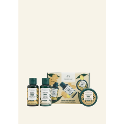 Ginger Haircare Starter Kit