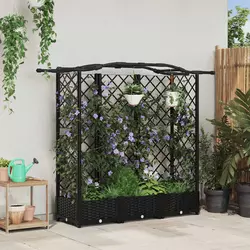 Povišeni krevet s mrežom i krovom Crna 163 x 40 x 126 cm PP