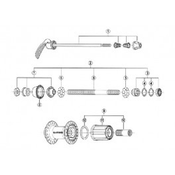 Zadnji konus Shimano nable desni za FH-RM66.