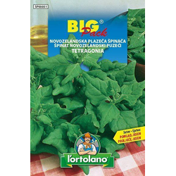 ŠPINAČA NOVOZELANDSKA PLAZEČA BIG PACK 20gr
