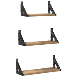 Polica na zidu Zidne s pohranom 3 pcs Dimni hrast