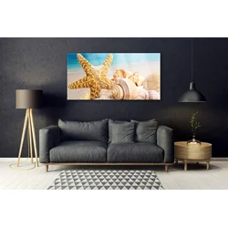 tulup.si Steklena slika Starfish shell art 140x70 cm 4 obešalnika